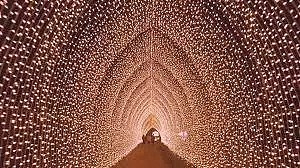全球知名灯光展联手墨尔本皇家植物馆，带来史上最美的“人间仙境”，伸手摘星，置身仙境，让你去了就不想走... - 17