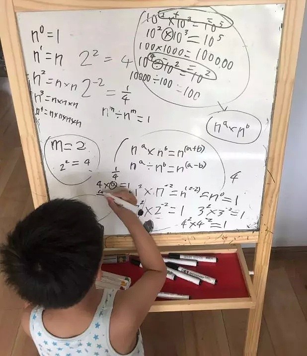视频疯传! 中国8岁小学生教编程 惊动苹果CEO! 百万网友: 自愧不如（组图） - 10