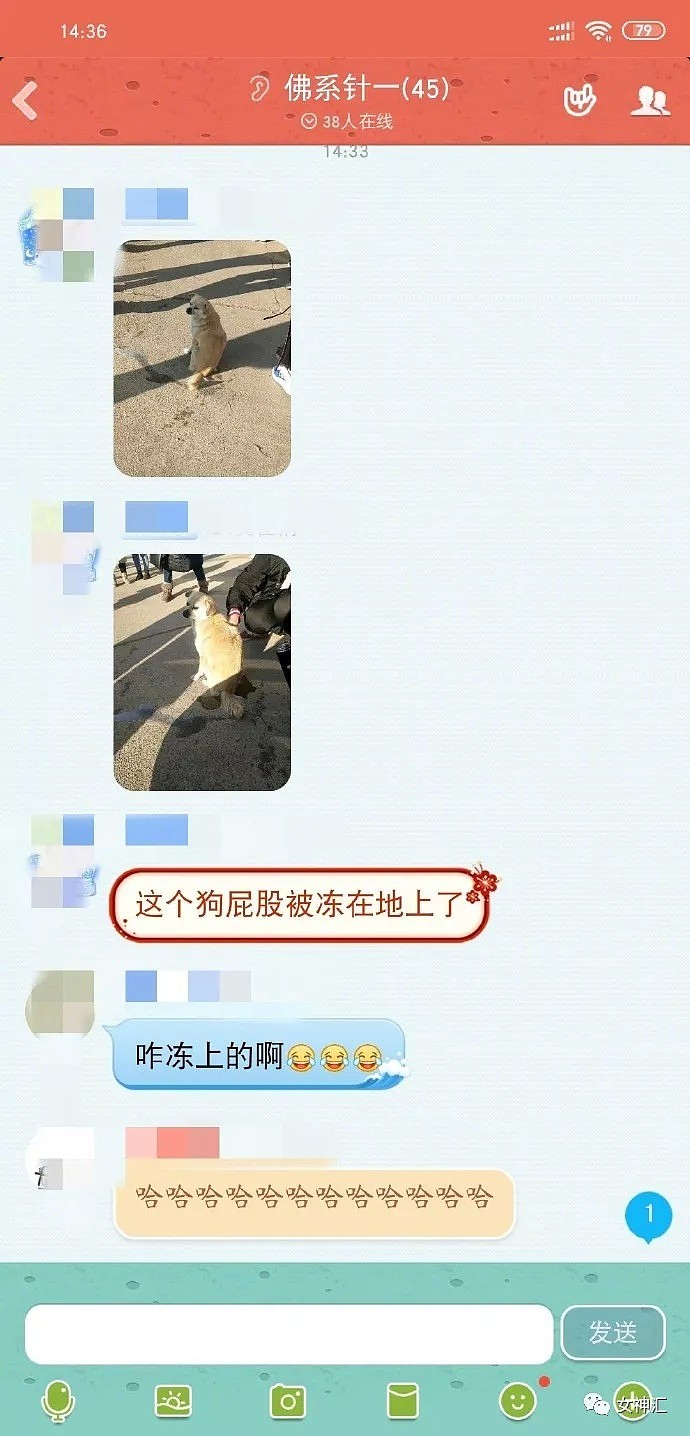 【爆笑】年底渣男都出来营业了？相亲对象看了我朋友圈之后问我要闺蜜微信哈哈哈哈（组图） - 3