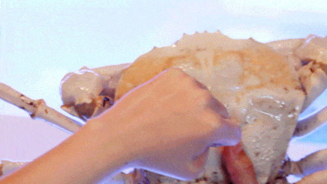 有【龙虾】有【肉蟹】的超值新年套餐，预定即赠【松鼠全鱼】，悉尼吃海鲜首选兰园！ - 4