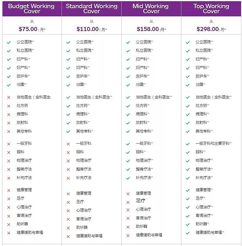 毕业后想留堪村，申请485签证时却因选择医保而倍感头痛？！别急，最详细澳洲各色医保介绍在这里，了解这些省时省力更省钱！ - 10