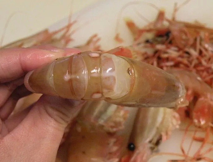 惊爆！澳洲大量虾类体内竟存在寄生虫！爱吃海鲜的华人注意，大批患者因贪吃“体内长虫”！（组图） - 9