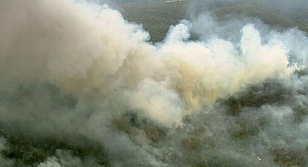 新州山火局势恐进一步恶化！消防部门：除非天降大雨，否则无能为力（组图） - 3