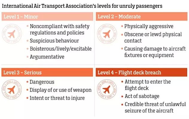 飞机上这类没素质的人，终于能被好好管管了！1月1日起这项协定将在国际上生效，看谁还敢闹事…（组图） - 13