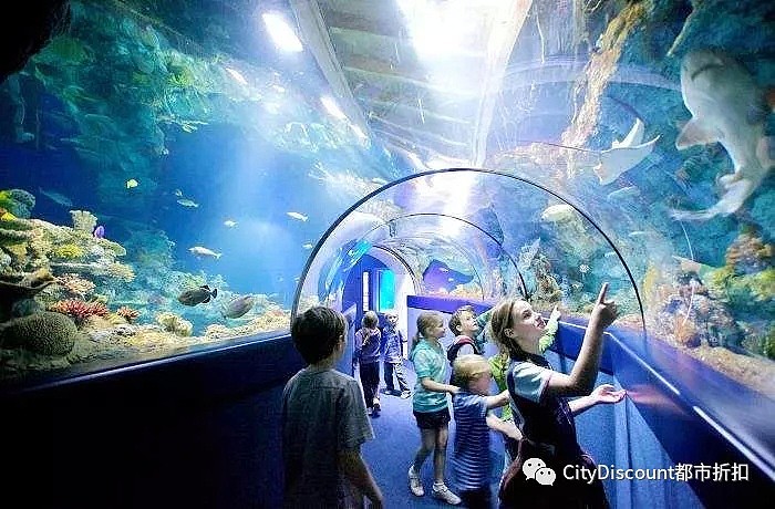 墨尔本【水族馆门票】门票 买一送一 活动回归 - 1