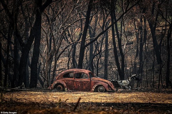 22791302-7836553-A_burnt_out_pink_Volkswagen_Beetle_can_be_seen_sitting_on_scorch-a-27_1577700241237.jpg,0