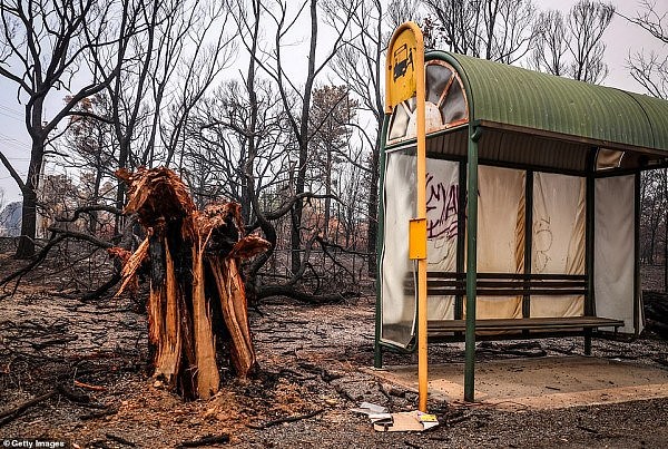 22791294-7836553-A_lonely_bus_stop_that_survived_the_inferno_stands_before_a_fore-a-28_1577700241238.jpg,0