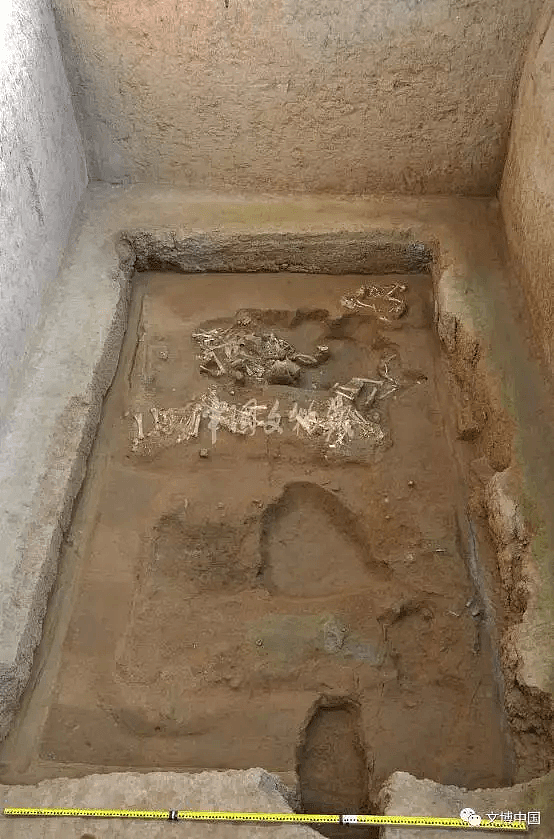 重磅！秦始皇陵园发现大型陪葬墓 “金骆驼”现世！（组图） - 4