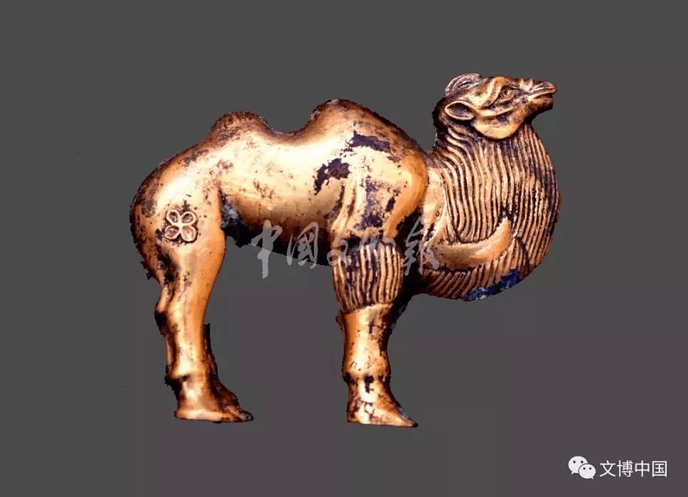 重磅！秦始皇陵园发现大型陪葬墓 “金骆驼”现世！（组图） - 9
