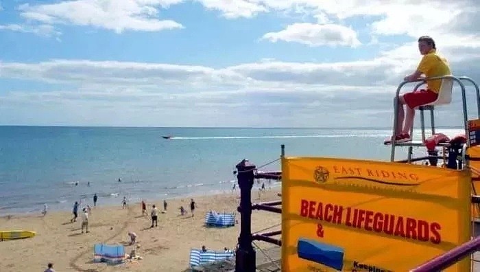小心！高温袭来，昆州海滩“毒物”出没频繁！主动上前，很可能丢了小命 - 23