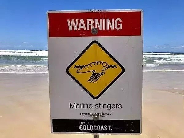 小心！高温袭来，昆州海滩“毒物”出没频繁！主动上前，很可能丢了小命 - 26