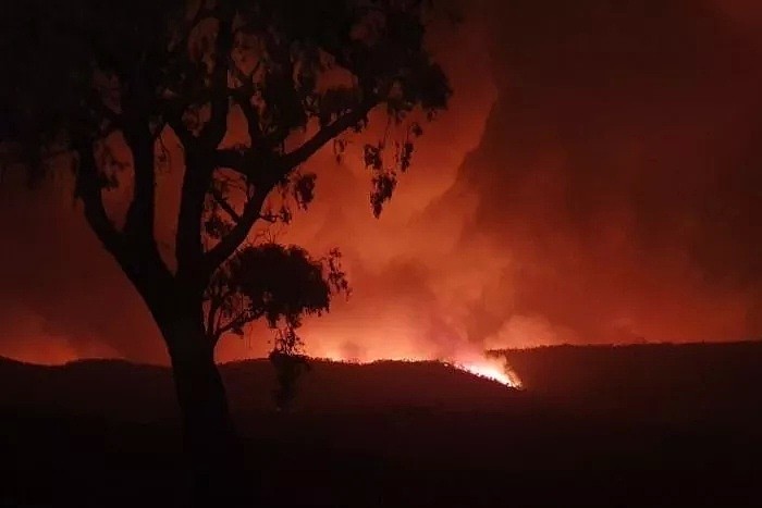 今日澳财｜悉尼跨年烟花秀获准进行；维州迎来史上最严重山火日 - 9