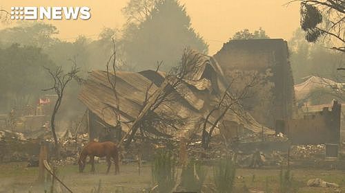 噩耗！新州山火肆虐，又有2人确认遇难，另一人凶多吉少！死亡人数已升至11人（视频/组图） - 9