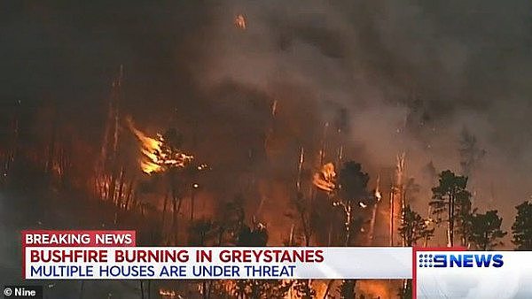 悉尼西区Greystanes突发森林大火！超100户家庭面临威胁（组图） - 4
