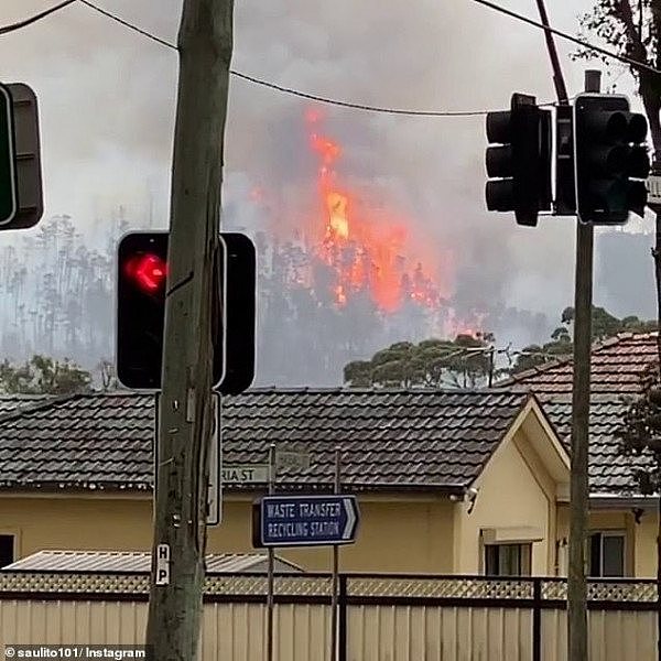 悉尼西区Greystanes突发森林大火！超100户家庭面临威胁（组图） - 3