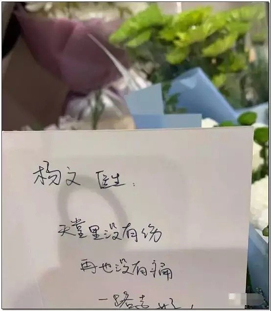 杨文医生遇害5天后，聊聊这些“真相”：比起国外，在中国看病真的很幸福！（视频/组图） - 20