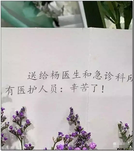 杨文医生遇害5天后，聊聊这些“真相”：比起国外，在中国看病真的很幸福！（视频/组图） - 22