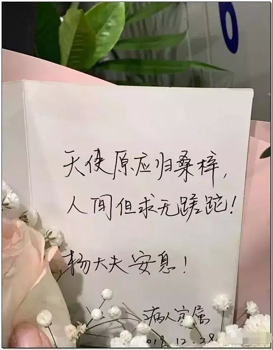 杨文医生遇害5天后，聊聊这些“真相”：比起国外，在中国看病真的很幸福！（视频/组图） - 23