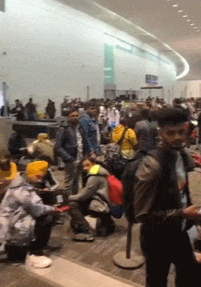 视频真相！多伦多皮尔逊机场堵满了留学生！雅思成绩造假？大规模遣返？（组图） - 1