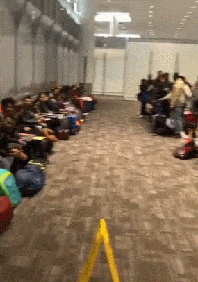 视频真相！多伦多皮尔逊机场堵满了留学生！雅思成绩造假？大规模遣返？（组图） - 2