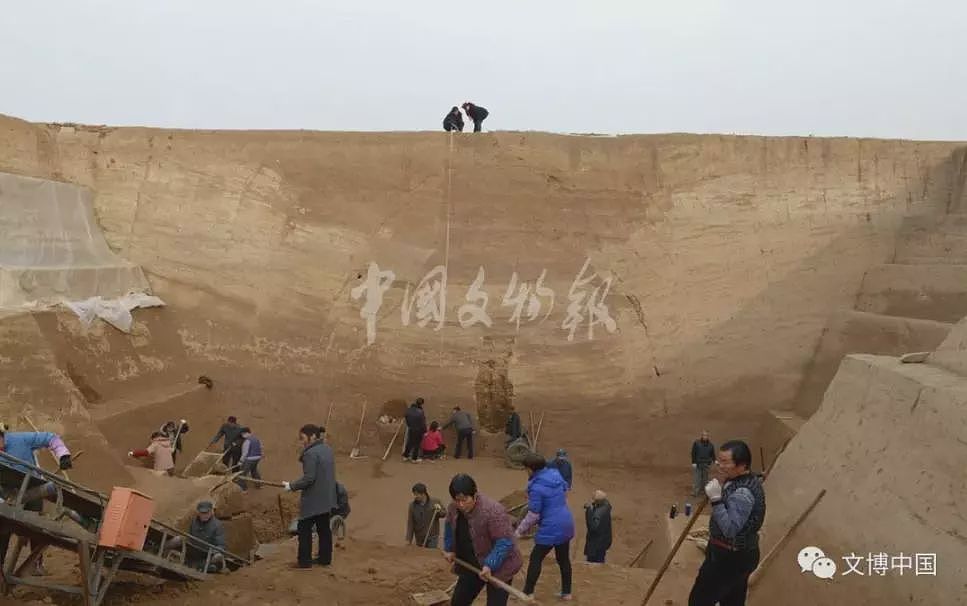 秦始皇陵园发现大型陪葬墓 珍贵单体金骆驼现世