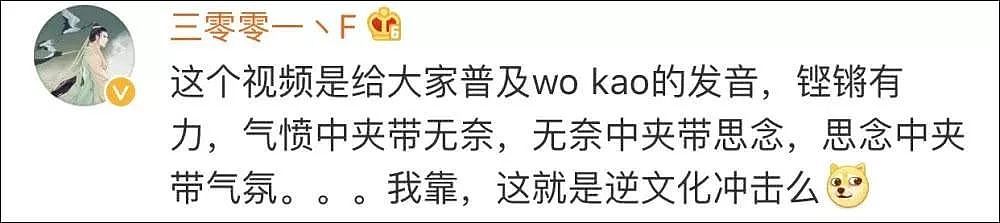 “我要回中国！”澳男发视频吐槽澳洲，一夜爆红！获百万华人网友点赞（视频） - 16