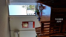 Burwood  3分钟火车站  高层APT   明亮单间 方便到大学