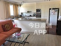 Chatswood  保安公寓 上锁单人间 独立浴厕自用 免费车位 295周
