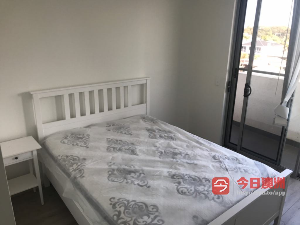 今日珀斯Wolli Creek 全新装修 独立卫浴 阳光大床房 Wolli Creek 全新装修 独立卫浴 阳光大床房