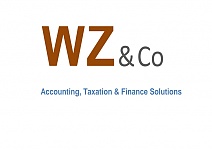  WZCo资深CA会计师团队免费咨询个人公司注册记帐报税