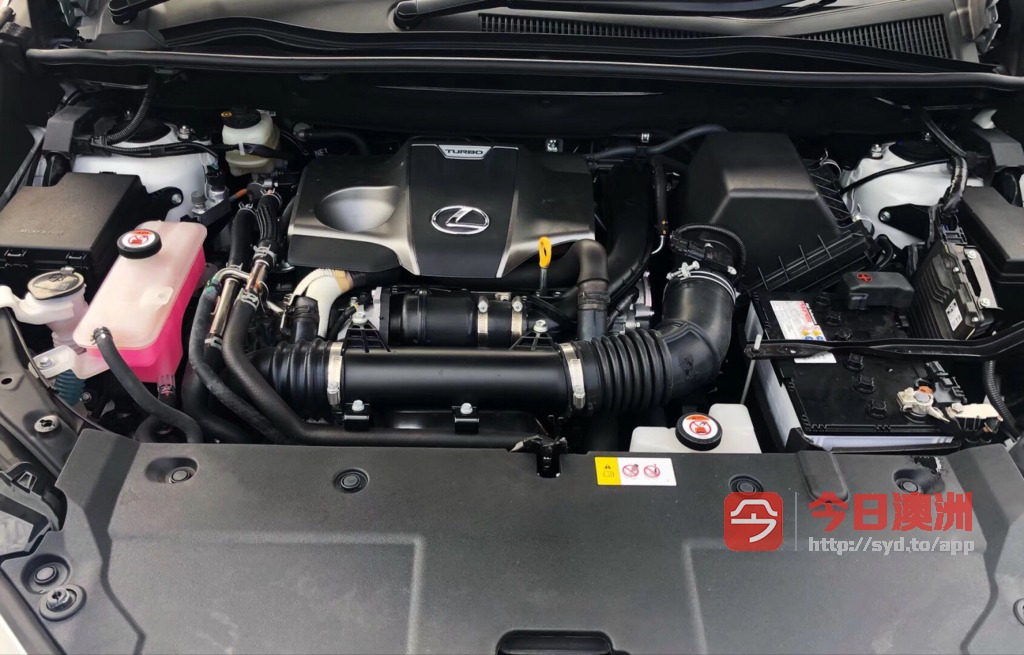 今日悉尼Lexus 2017年 NX200t luxury 准新车 豪华配置 低公里 Lexus 2017年 NX200t luxury 准新车 豪华配置 低公里