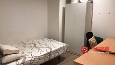 Ashfield 公寓单间出租