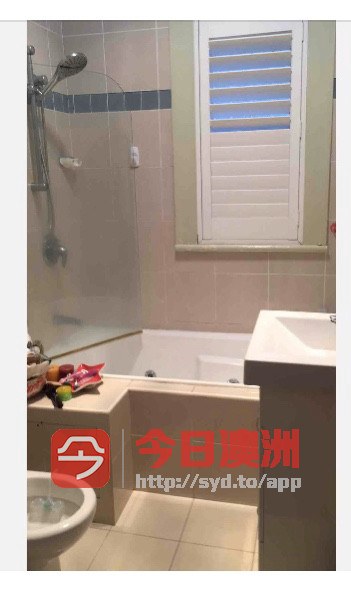今日悉尼Chatswood House 超大房间出租450 Chatswood House 超大房间出租450