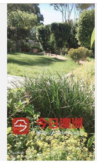 今日悉尼Chatswood House 超大房间出租450 Chatswood House 超大房间出租450