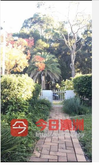 今日悉尼Chatswood House 超大房间出租450 Chatswood House 超大房间出租450
