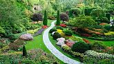 AKlandscape