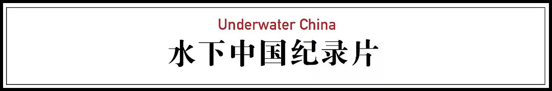 【深读】中国女孩叫板BBC，冒死拍出中国的水下世界，震撼程度爆表！（视频/组图） - 5