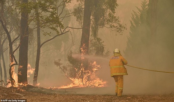 22792694-7836553-A_fireman_fights_a_bushfire_to_protect_a_property_in_Balmoral_15-a-33_1577700241243.jpg,0