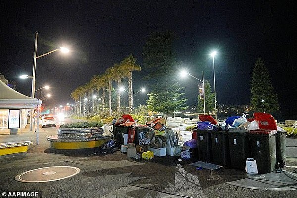 悉尼出动300人一整晚都在清理垃圾，街头垃圾足以填满一个游泳池！（视频/组图） - 3