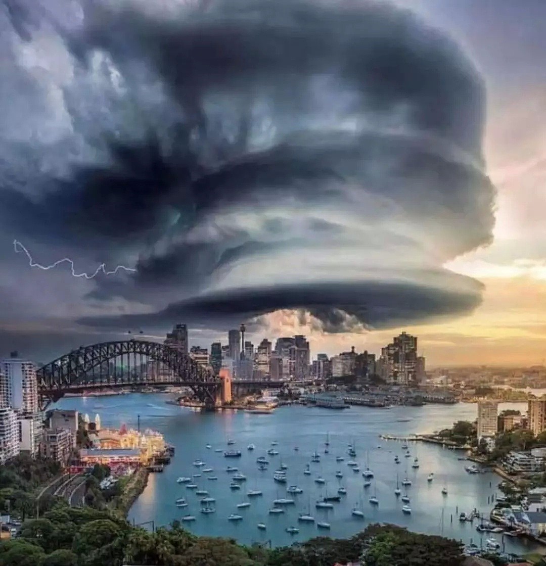 尴尬到极点！澳总理与灾民握手遭拒被狂怼！悉尼灾难升级！1人吸“毒烟”身亡！史上最大紧急规模逃离上演，4000人随时跳海逃生！ - 28