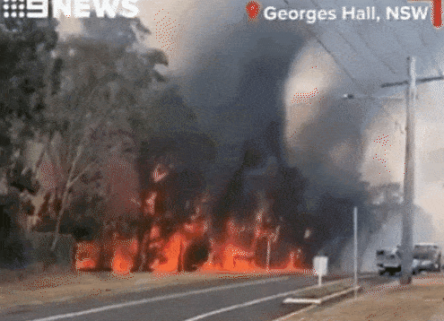 悉尼西南区突发林火！现场浓烟滚滚，火场周边近百幢房屋受威胁（视频/组图） - 1