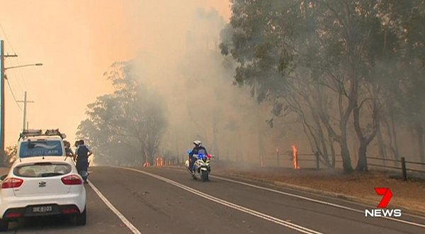 悉尼西南区突发林火！现场浓烟滚滚，火场周边近百幢房屋受威胁（视频/组图） - 4
