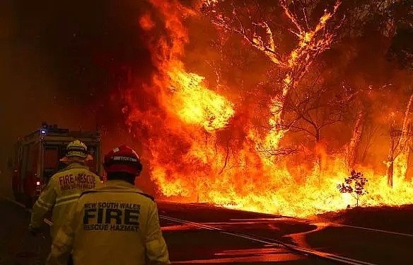 心碎! 澳洲山火殉职消防员出殡，19个月大儿子代领勳章 - 3