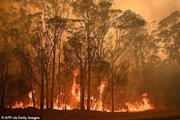 夏季假期改到3、4月？澳洲学者建议引争议，都是山火季影响（组图） - 1