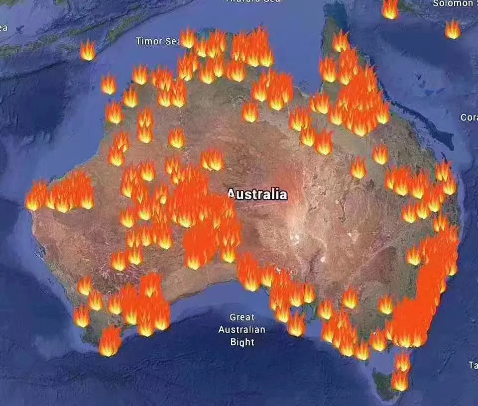 震惊！澳洲山火为何至今灭不掉？有华人发现真相！这点真比不上中国（组图） - 3