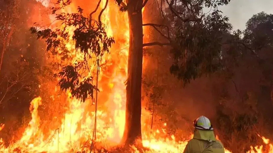 澳洲山火肆虐，多地受灾！在澳华人呼吁为消防部门捐款（组图） - 20