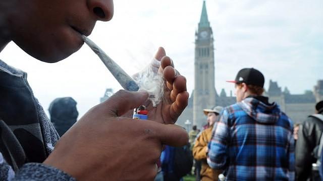 加拿大专家：大麻合法后学生酗酒减少 网友：以毒攻毒？