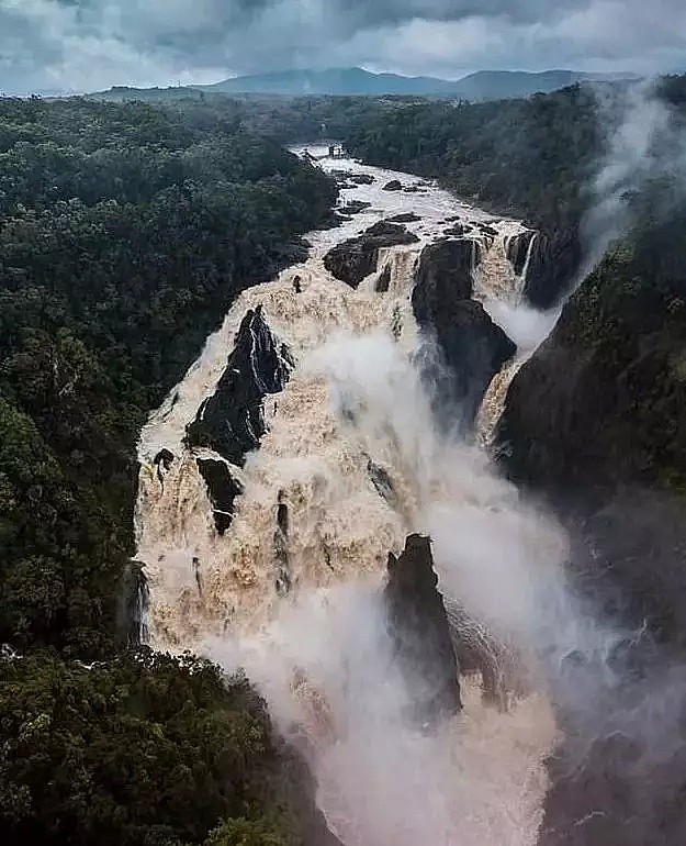 无人能救澳大利亚？！专家：大雨也许比山火更危险 - 20