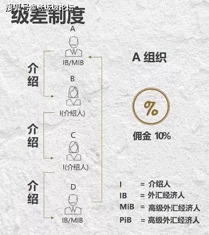 爆仓！跑路！又一平台崩盘，涉案1000亿，近200万人受害！（组图） - 14