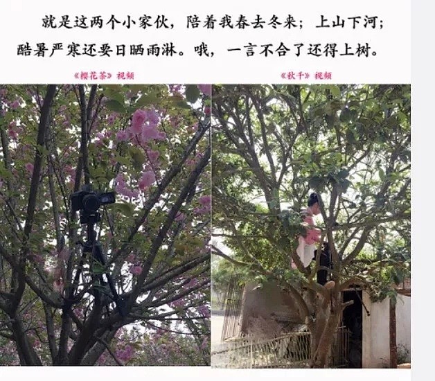 被央视点名的网红李子柒，真面目曝光：她根本不是仙女！（组图） - 23